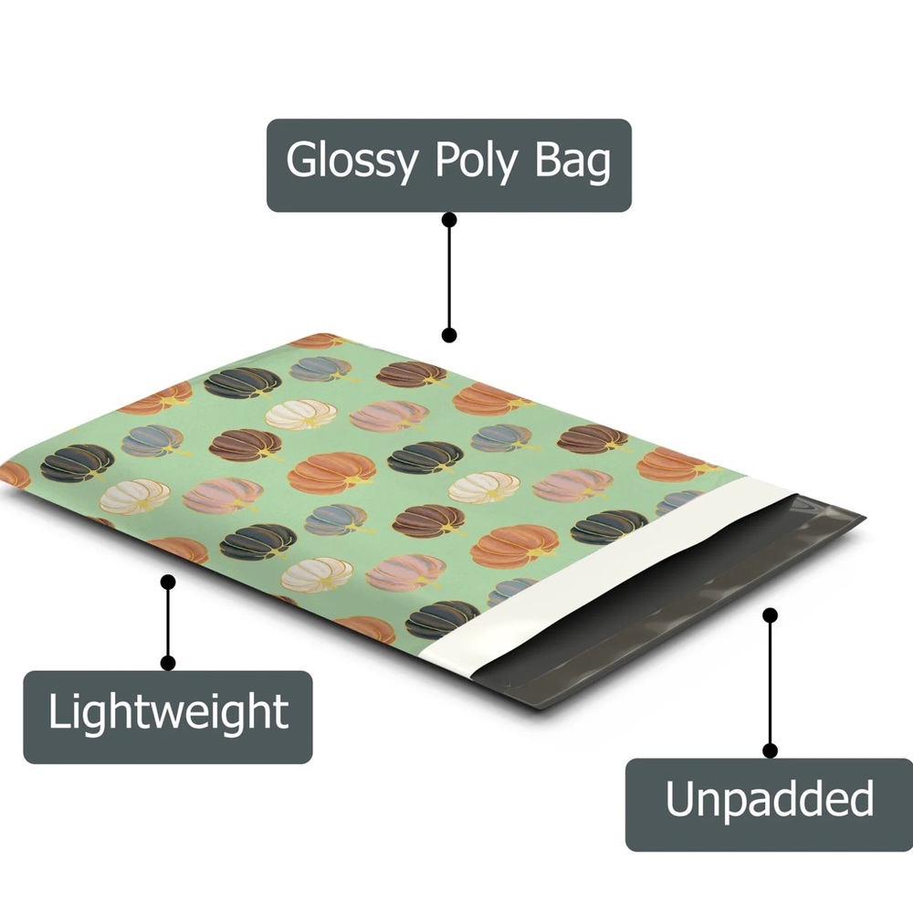 Pumpkin Patch π 10x13 Poly Mailers Pack of 25 - Picture 3 of 10